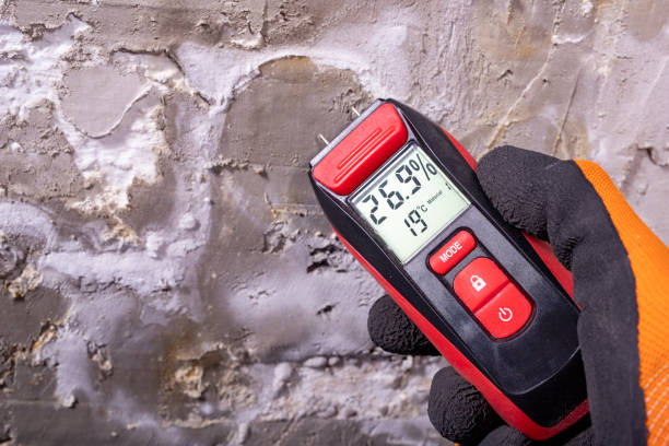 Best Bathroom Mold Remediation in Edgemoor, DE